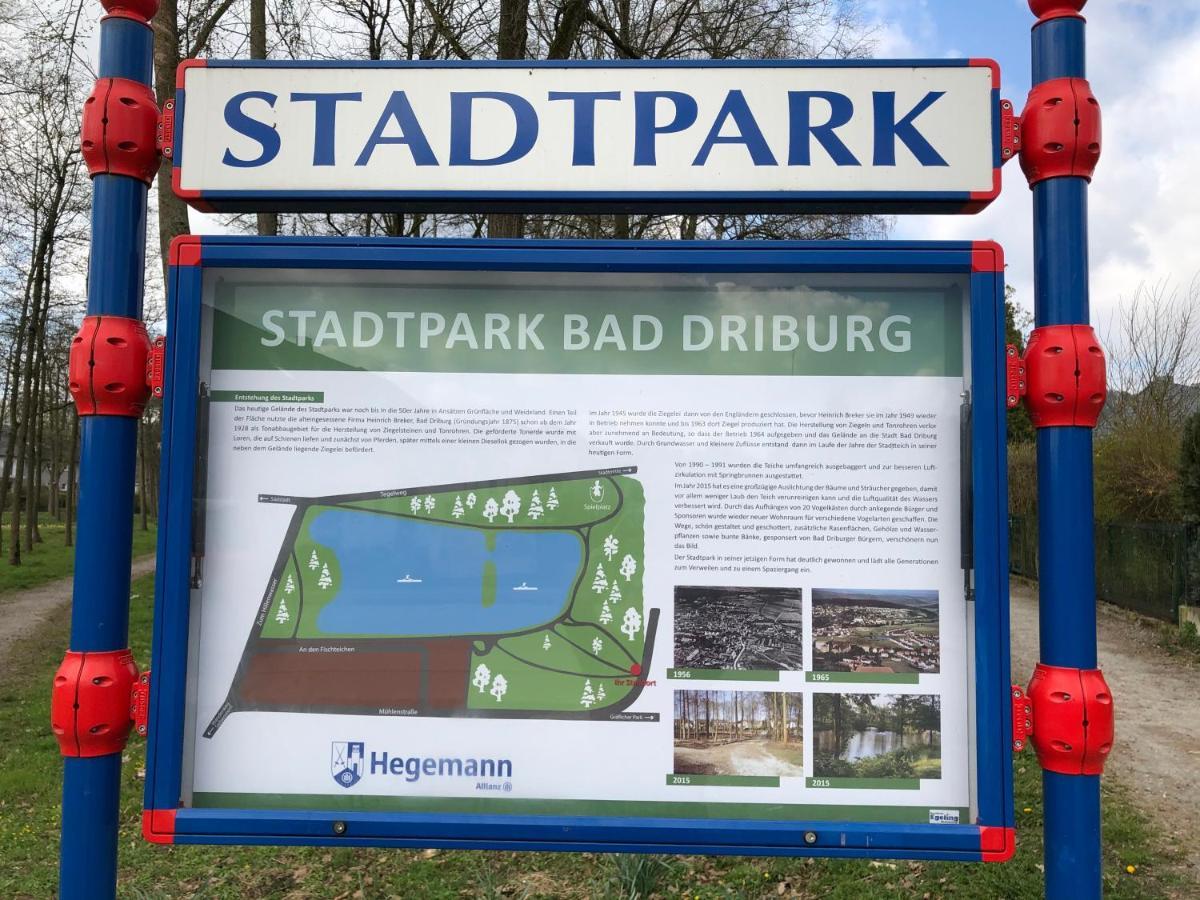 Exklusives Wohnen Am Stadtpark バート・ドリーブルク エクステリア 写真