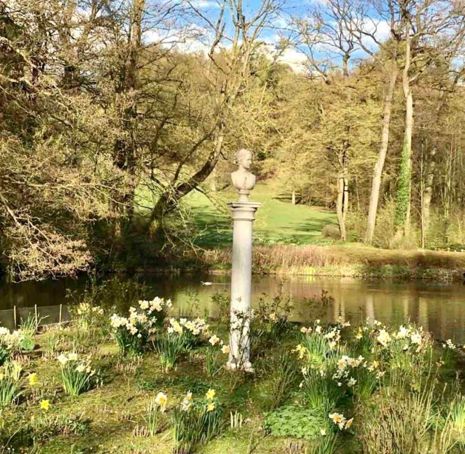 Exklusives Wohnen Am Stadtpark バート・ドリーブルク エクステリア 写真